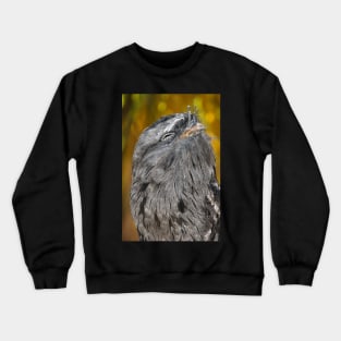 Tawny Frogmouth Bliss Crewneck Sweatshirt